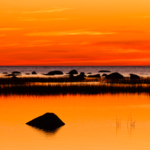 Gulf of Finland at sunset, LO | Финский залив на закате, ЛО — 63616