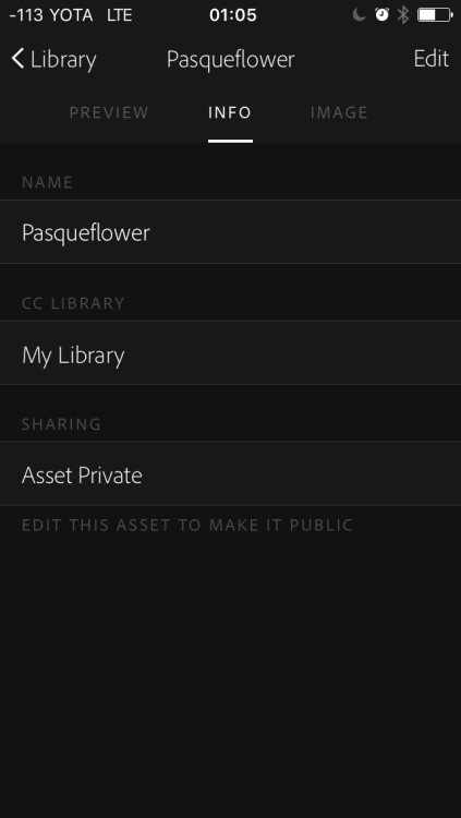 Информация по цветовой палитры в приложении Adobe Capture CC