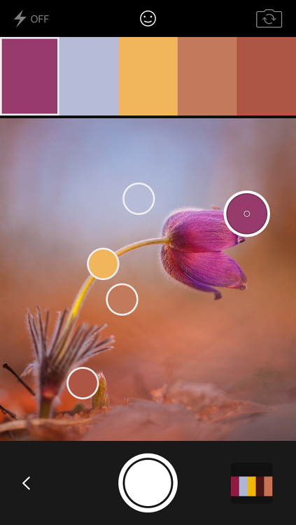 Выделение характерных цветов в приложении Adobe Capture CC