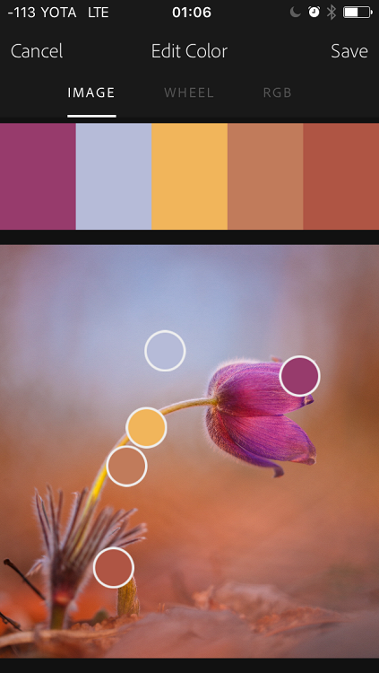 Редактирование цветовой палитры в приложении Adobe Capture CC