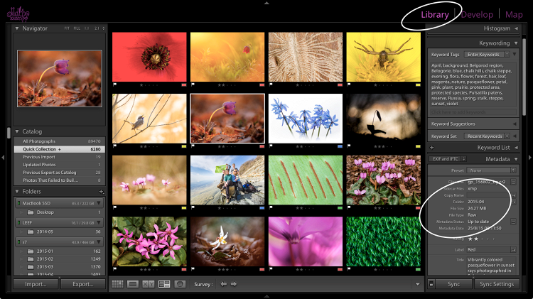 Тонкая настройка Lightroom под себя
