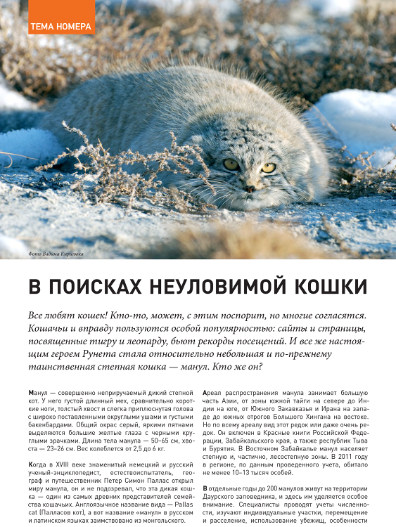 Заповедные Острова 2015 – В поисках неуловимой кошки