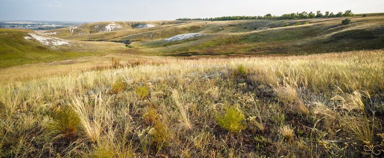 Степь на меловых холмах в природном парке Ровеньский