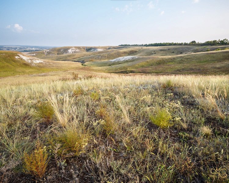 Степь на меловых холмах в природном парке Ровеньский