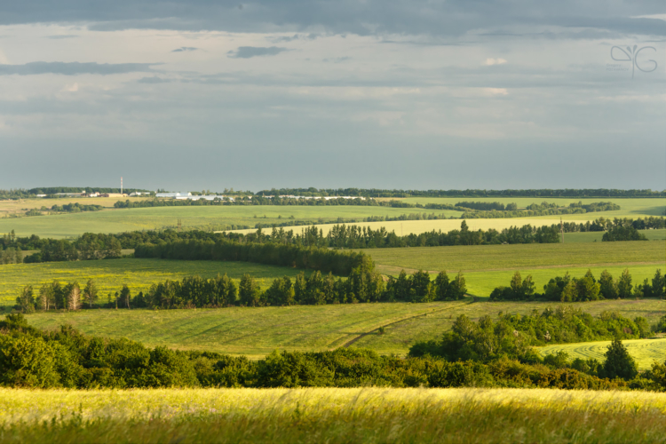 Вид на село Сапрыкино из Ямской Степи