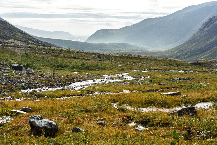 Долгий подъём на перевал Безымянный