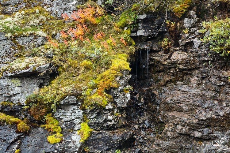 Стенка каменного каньона ручья