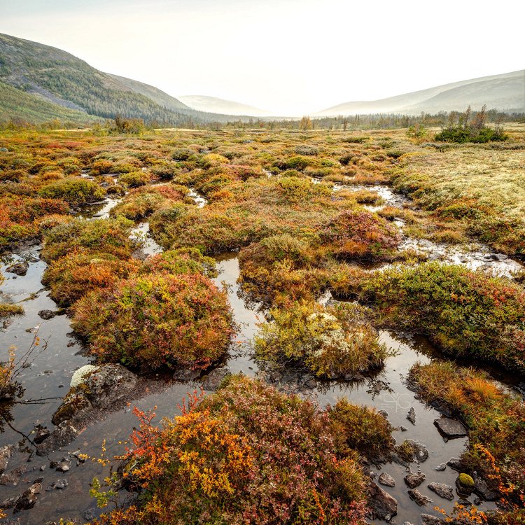 Обои для iPad: Тундра в долине Тульйока