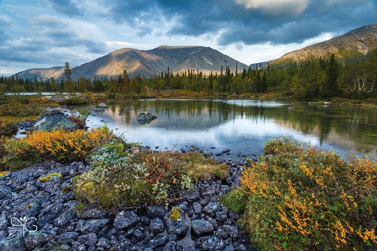 Вечерний Рисчорр