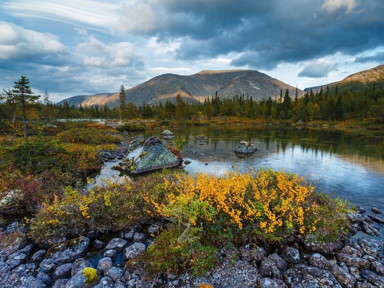 Обои для iPad: Вечерний Рисчорр