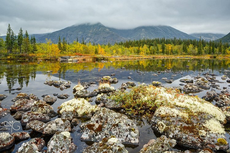 Сентябрьский вид на Рисчорр, скрытый в облаках, с лишайниками на переднем плане