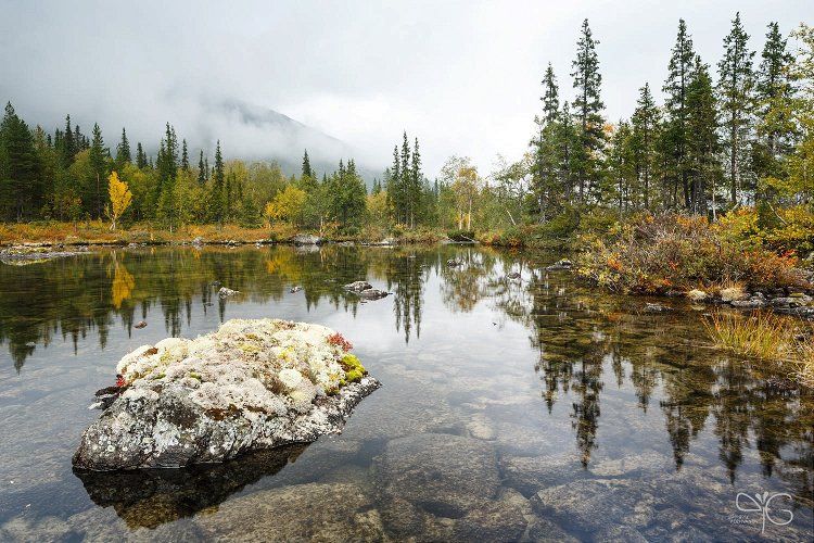 Камень, обросший лишайниками