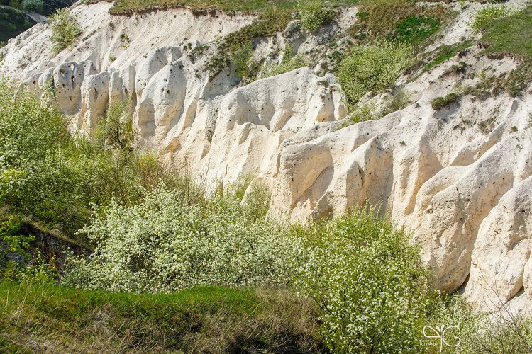 Меловой каньон в Дивногорье