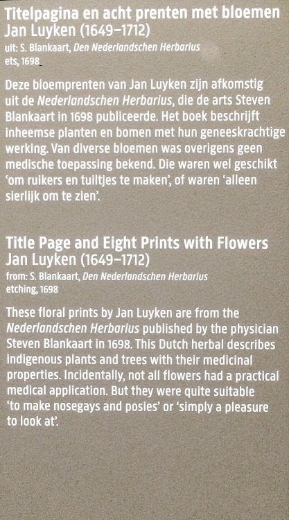 Rejksmuseum, Nederlandschen Herbarius