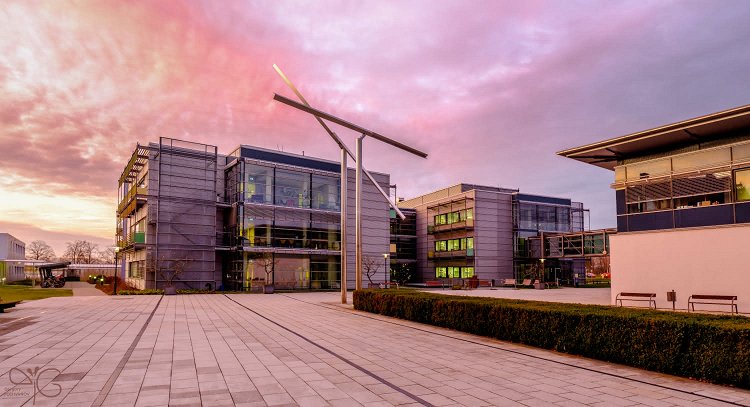 Max Planck Institute of Molecular Plant Physiology