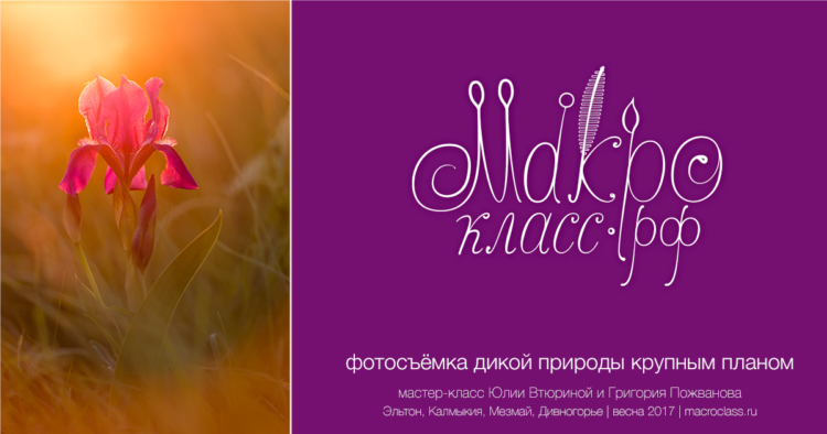 Макрокласс.рф