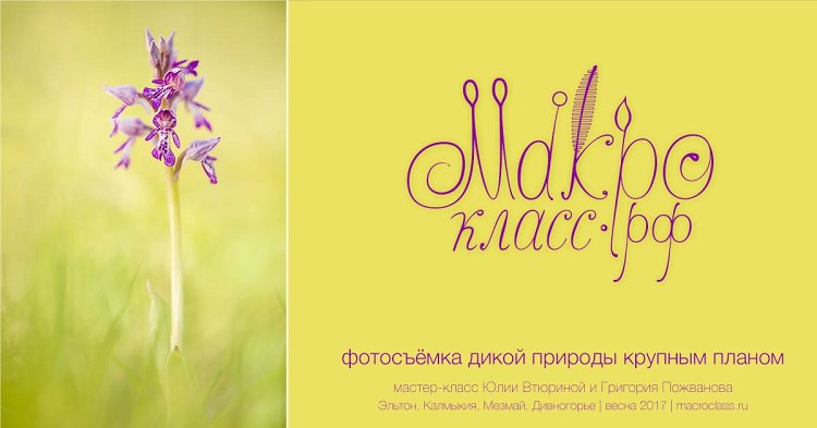 Макрокласс.рф