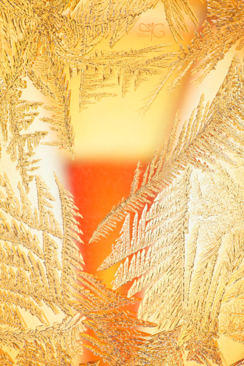 Winter holidays postcard, LO | Зимние праздники, ЛО — 70996