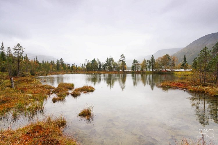 Болотистый берег озера Пай-Куньявр
