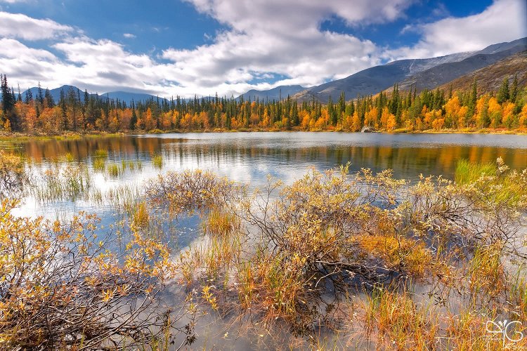 На Круглом Полигональном озере