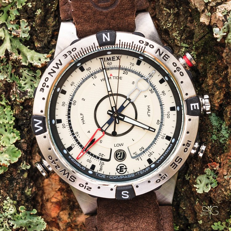 Часы Timex T4560