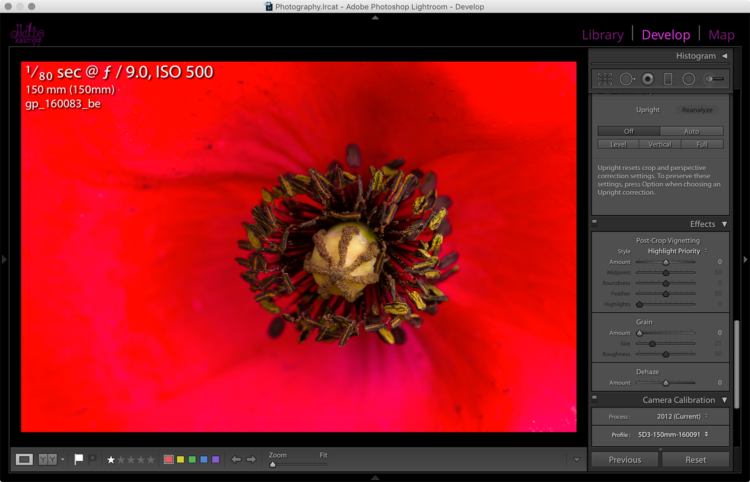 Профиль камеры применён в Adobe Photoshop Lightroom