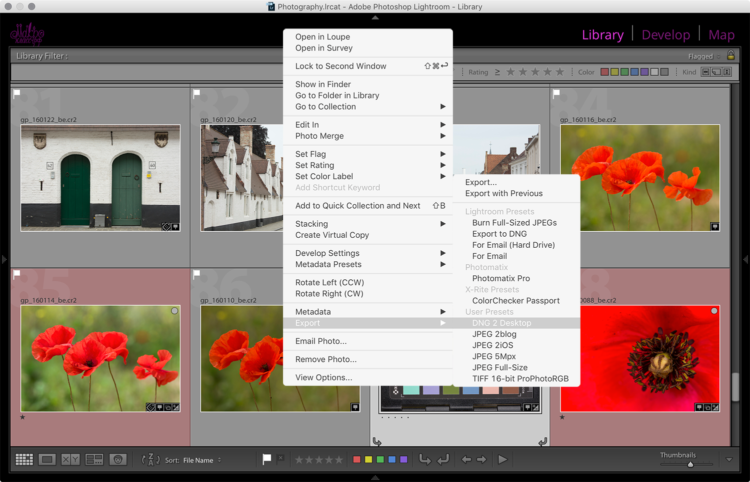 Экспорт кадра с мишенью ColorChecker из Lightroom в формате DNG