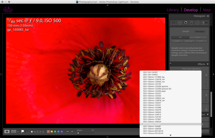 Выбор профиля камеры в Adobe Photoshop Lightroom