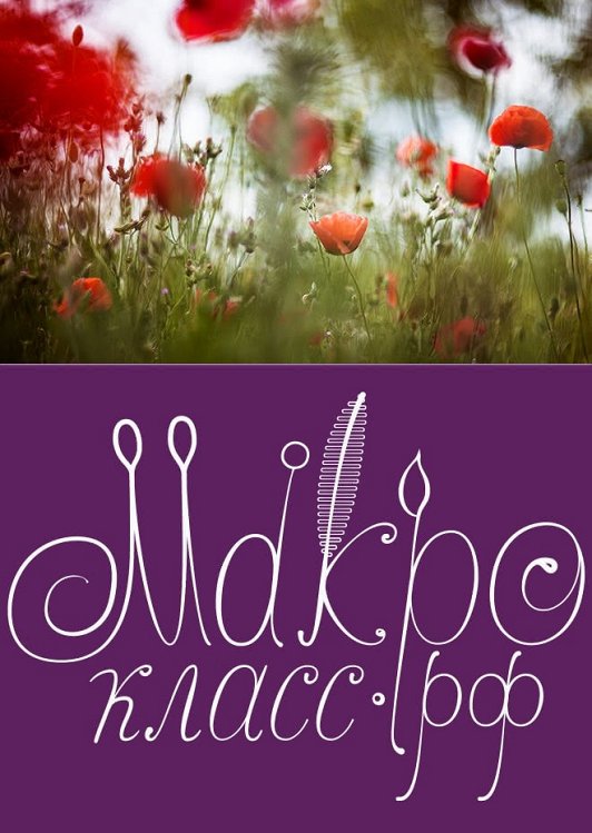 Макрокласс маки фиолетовый