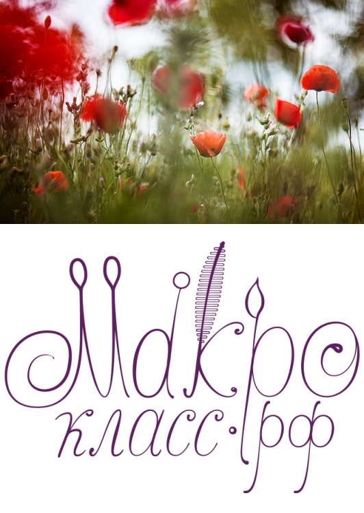 Макрокласс маки прозрачный